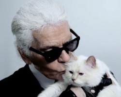 Karl Lagerfeld Ingin Menikahi Kucingnya