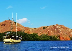 Puncak Pulau Rinca, Tempat Terbaik Melihat Kecantikan Flores
