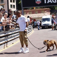 Hamilton Diminta Fokus ke Balapan, Bukan Bawa Anjingnya Jalan-jalan