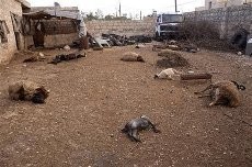 Prancis Yakin Gas Sarin Telah Digunakan dalam Konflik Suriah