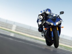 Moge Corak MotoGP Paling Diburu