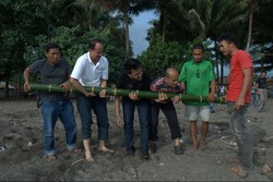 Ini Bukan Bambu Biasa, Ini Bambu Gila!