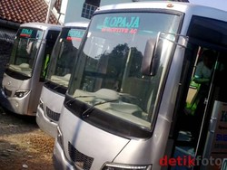 Baru! Wisata ke Ragunan-Monas Kini Bisa Naik Kopaja AC