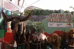 Tempat Liburan Baru di Bandung: Animal Kingdom