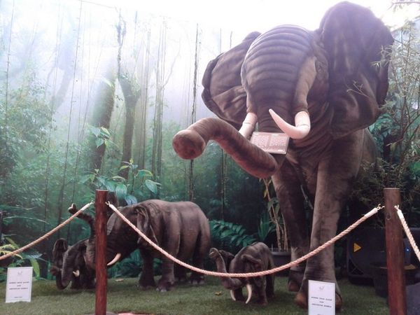 Kerajaan Hewan di Trans Studio Mal Bandung