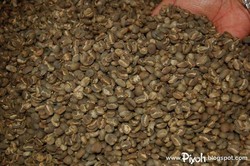 Takengon, Negeri Kopi di Barat Indonesia