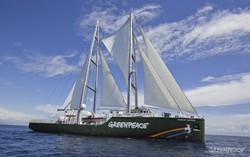 SBY Akan Tinjau Kapal Rainbow Warrior Milik Greenpeace di Tanjung Priok