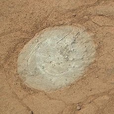 Kosmonot Wanita Rusia Siap Pergi ke Mars Meski Tak Akan Pernah Kembali