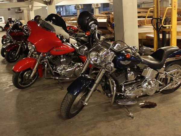 HDCI Rayakan Ultah Emas