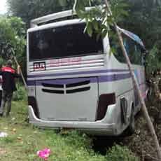 Bus Sarat Penumpang Nyelonong Masuk Hutan Saat Rem Blong