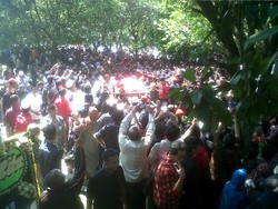 Ruhut: Taufiq Kiemas Jembatan Emas PDIP-Demokrat