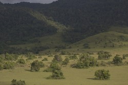 Lenyek, Savana Cantik di Sulawesi Tengah