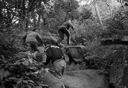 Gunung Gajah di Pemalang, Treknya Ekstrem dan Menantang!