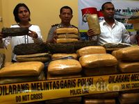 Polsek Cilandak Sita 170 Kg Ganja