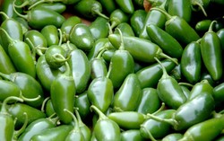 Inilah Cara Baca Croissant dan Jalapeno yang Benar (2)