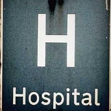 Gara-gara Lebah, Pasien dan Staf Rumah Sakit di Serbia Dievakuasi