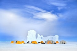 Safari di Gurun Es Antartika, Bisa!