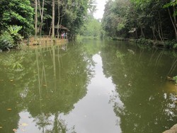 Ada Ikan Arwana Raksasa di Hutan Wisata Batam