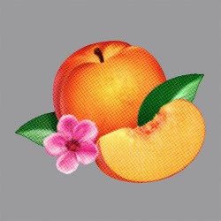 Bankrupt: Album Phoenix Tak Sesederhana Sampulnya