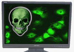 Kisah Teror Pasukan Zombie Cyber Conficker