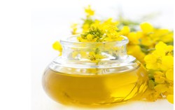 Memasak Dengan Minyak Nabati Membuat Jantung Lebih Sehat