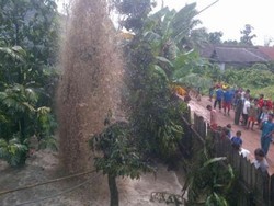Semburan Air Berlumpur 25 Meter Bikin Panik Warga Ketapang Kalteng