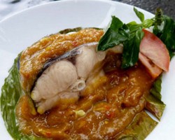 Sensasi Lezat Hidangan Ikan Patin