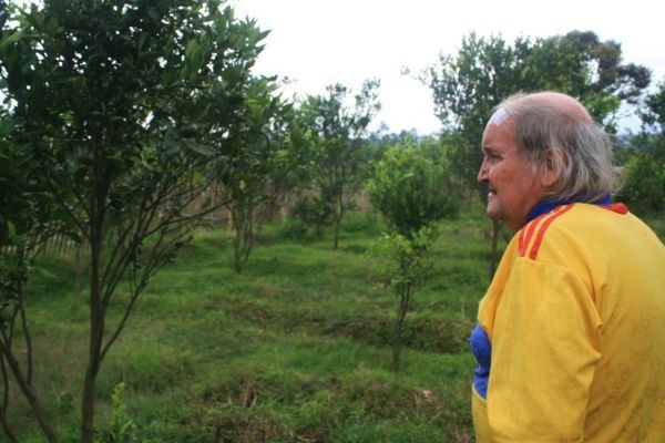 Paul Cumming sedang melihat kebun jeruk miliknya. Jeruk di pohonnya sangat sering dicuri orang yang jahil (aqwam/PFI/detiksport)