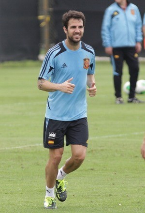 Fabregas Berhasrat Menangi Semua Gelar Bersama Spanyol