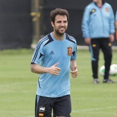 Fabregas Berhasrat Menangi Semua Gelar Bersama Spanyol