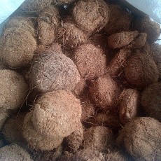 Proses Pengolahan Briket Ala Tanah Lot Bali