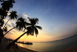 Terdampar di Surga Karimunjawa