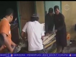 Ular Piton Sepanjang 6 Meter Ditemukan di Selokan