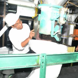 Revitalisasi 11 Pabrik, PTPN X Bidik Produksi 538 Ribu Ton Gula