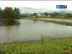 Arang Bambu dari Lampoko