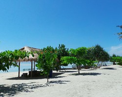 Foto: Pulau Pari dan Pesona Pantai Pasir Perawan