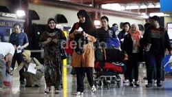 5 Tips Terhindar dari Tikus Bandara