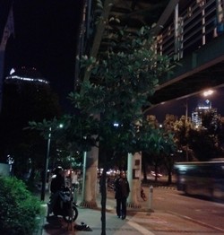 Bocah 2 Tahun Jatuh dari Jembatan TransJ Benhil