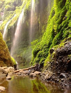 Air Terjun Madakaripura, Bagai Hujan yang Tak Pernah Reda