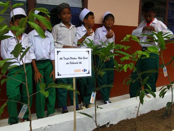 TNT Express Gelar Penanaman Pohon