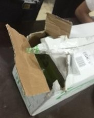 Ini 5 Penampakan Aksi Tikus di Bandara