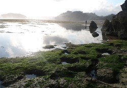 Pantai-pantai Gunungkidul yang Selalu Menawan