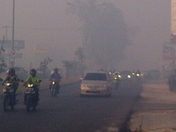 Kabut Asap, Bandara di Pekanbaru Alihkan Pendaratan 2 Maskapai ke Medan