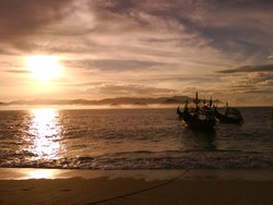 The Beauty of Papuma