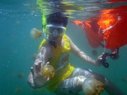 Tak Disangka, Derawan Punya Banyak Destinasi Aneh Bin Ajaib