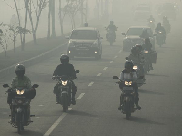 Kabut Asap di Pekanbaru Kian Pekat