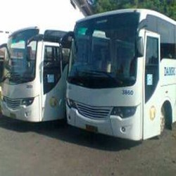 Damri Buka Peluang Rute Baru Kupang-Timor Leste di Tahun Ini