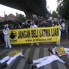 Protes Penjualan Satwa Liar, Aktivis ProFauna Bertopeng Kukang Jawa