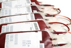 Virus Hepatitis Cemari 0,98 Persen Kantung Darah di Indonesia