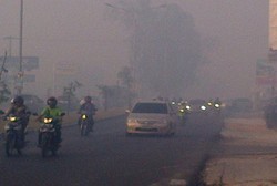  BNPB akan Buat Hujan Buatan dan Water Bombing di Hutan Pekanbaru